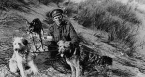 Кучињата во првата светска војна