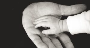 Значењето на таткото во правилното воспитување на децата: Градење на врски и обликување на иднината child and parent hands photography