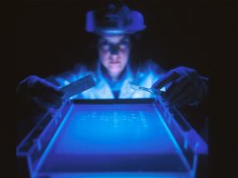 woman doing research while holding equipment